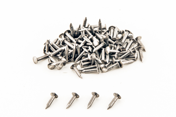 Deckbrettleistennägel, Inox 100 Stk.