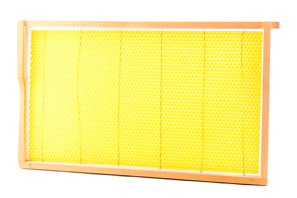 Dadant Blatt Brut Hoffmann - mit Drahteinlage und Wabe 1 Stk.